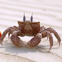 index.php?option=com_content&view=article&id=20&catid=14