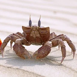 index.php?option=com_content&view=article&id=20&catid=14