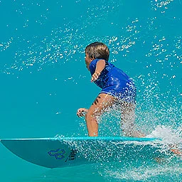 index.php?option=com_content&view=article&id=2&catid=17