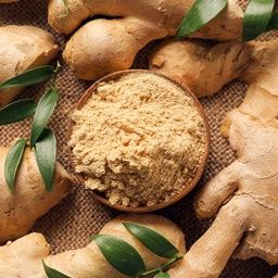 index.php?option=com_content&view=article&id=15&catid=14